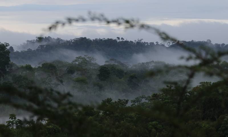 "Al país le queda el 66 % de su territorio (17 millones de hectáreas) con coberturas naturales que debemos conservar" / Foto: El Oriente