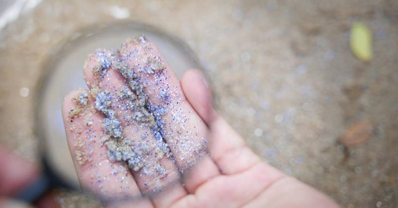 El trabajo en el laboratorio en la isla Santa Cruz permitirá entender cuál es el componente de plástico que está contaminando esa zona de las Islas Galápagos y también cómo impactan a los ecosistemas costero marinos./ Foto: cortesía