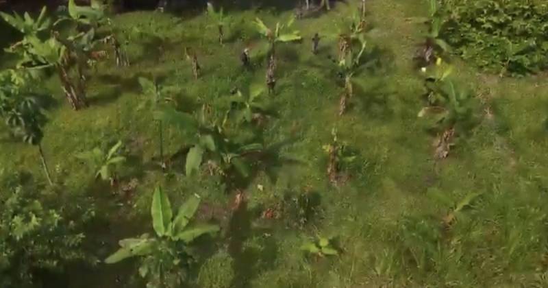 La acción se realizó durante una operación de reconocimiento y vigilancia fluvial en el río Putumayo / Foto: cortesía