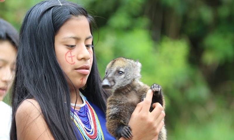 Tiwi Nunka, que significa ‘Territorio de Tiwi’ en el idioma shuar / Foto: cortesía