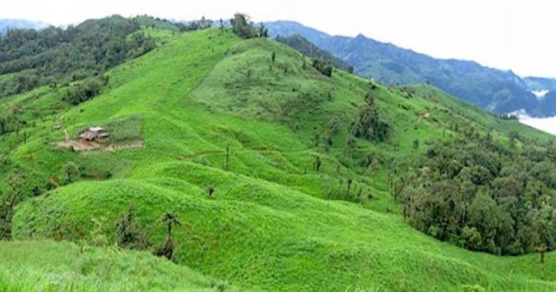 CMOC actualmente se dedica a la producción de minerales estratégicos como cobre, cobalto y molibdeno, además de fertilizantes / Foto: cortesía Revista Nueva Minería