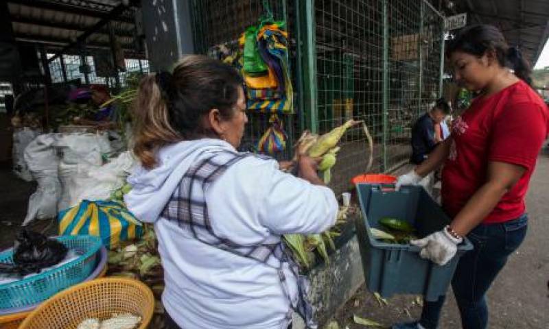 Foto: El Comercio