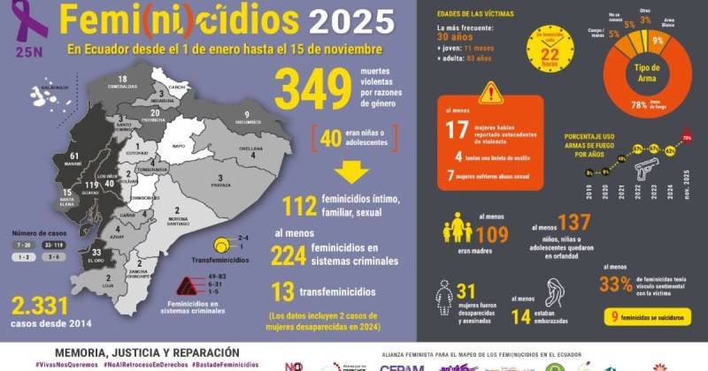 La Fundación Aldea dijo  que estos crímenes incorporan niveles adicionales de saña, crueldad y odio / Imagen: Fundación Aldea 