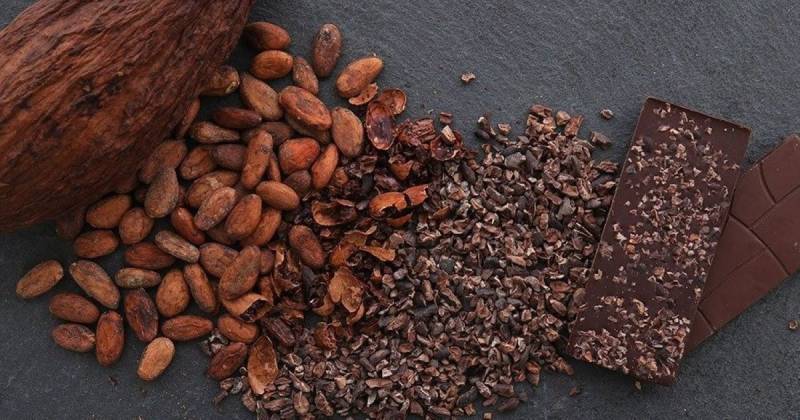 Expertos sugieren que Ecuador diversifique sus mercados de exportación y mejore la calidad del cacao / Foto: cortesía