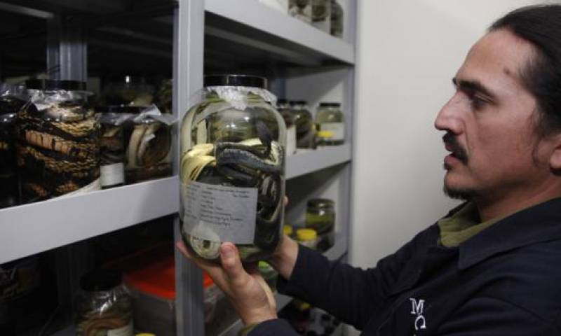 Foto: El Comercio