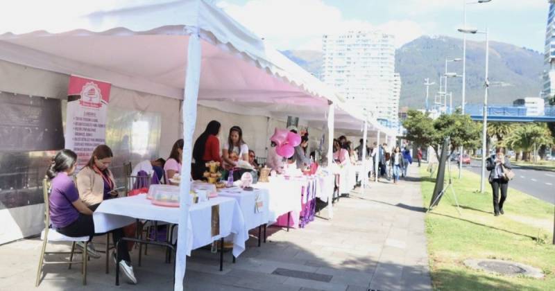 La tasa de negocios establecida descendió en 13,26 % con respecto al año anterior / Foto: cortesía Conquito