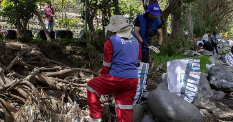 Los voluntarios recolectaron un total de 435,80 kg de residuos, entre textiles, botellas PET y otros desechos / Foto: cortesía