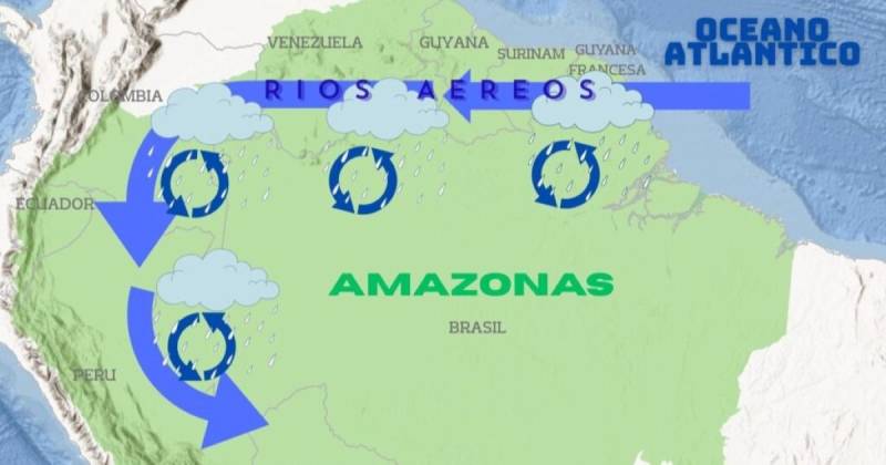 Según el MAAT, si esta tendencia continúa, la región podría enfrentar un “punto de inflexión” / Foto: cortesía MAAP Informe
