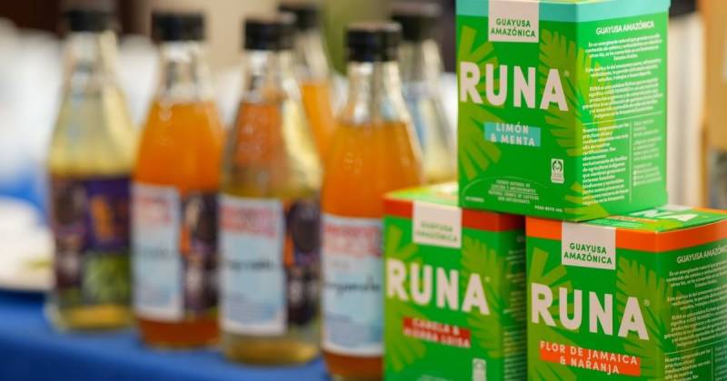 La guayusa es conocida por su alto contenido de cafeína y antioxidantes / Foto: cortesía MAG